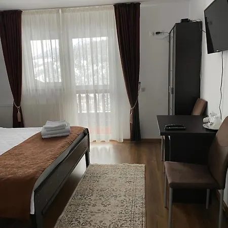 Pensiunea Hasmas 3*