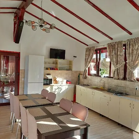 Guest house Pensiunea Hasmas 3*