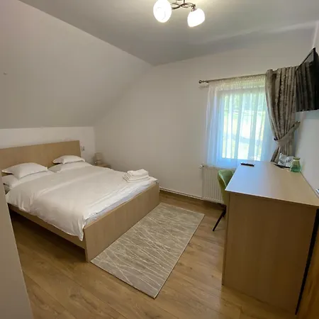 Guest house Pensiunea Hasmas 3*