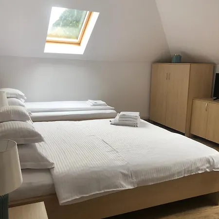 Guest house Pensiunea Hasmas 3*