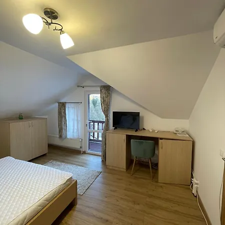 Pensiunea Hasmas Guest house Lacu Rosu